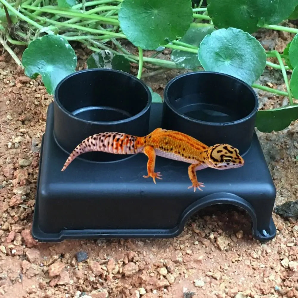 Reptile Hide Box Cave | Snake Lizard Gecko Shelter S/M/L Reptile Hide Box Babs