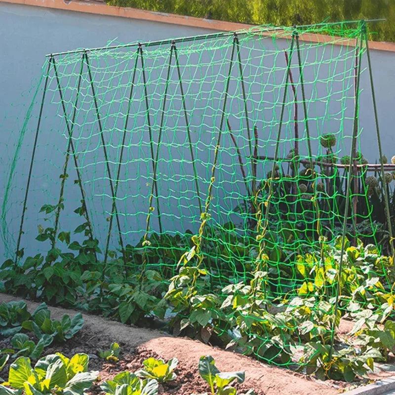 Heavy-Duty Garden Trellis Netting for Climbing Plants Garden Trellis Netting Babs