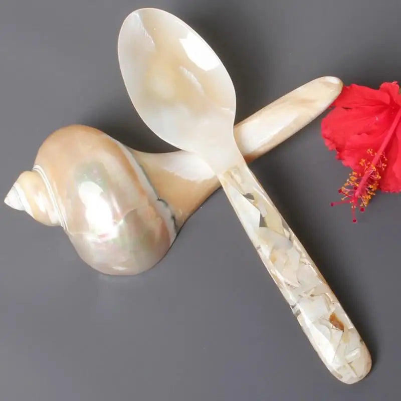 Conch Shell Spoon 15cm – Dessert, Coffee & Dinner Stirrer Decorative Spoon Babs
