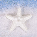 Resin Shell Starfish Mermaid Cake Toppers – Ocean Party Cake Topper Set Babs 6