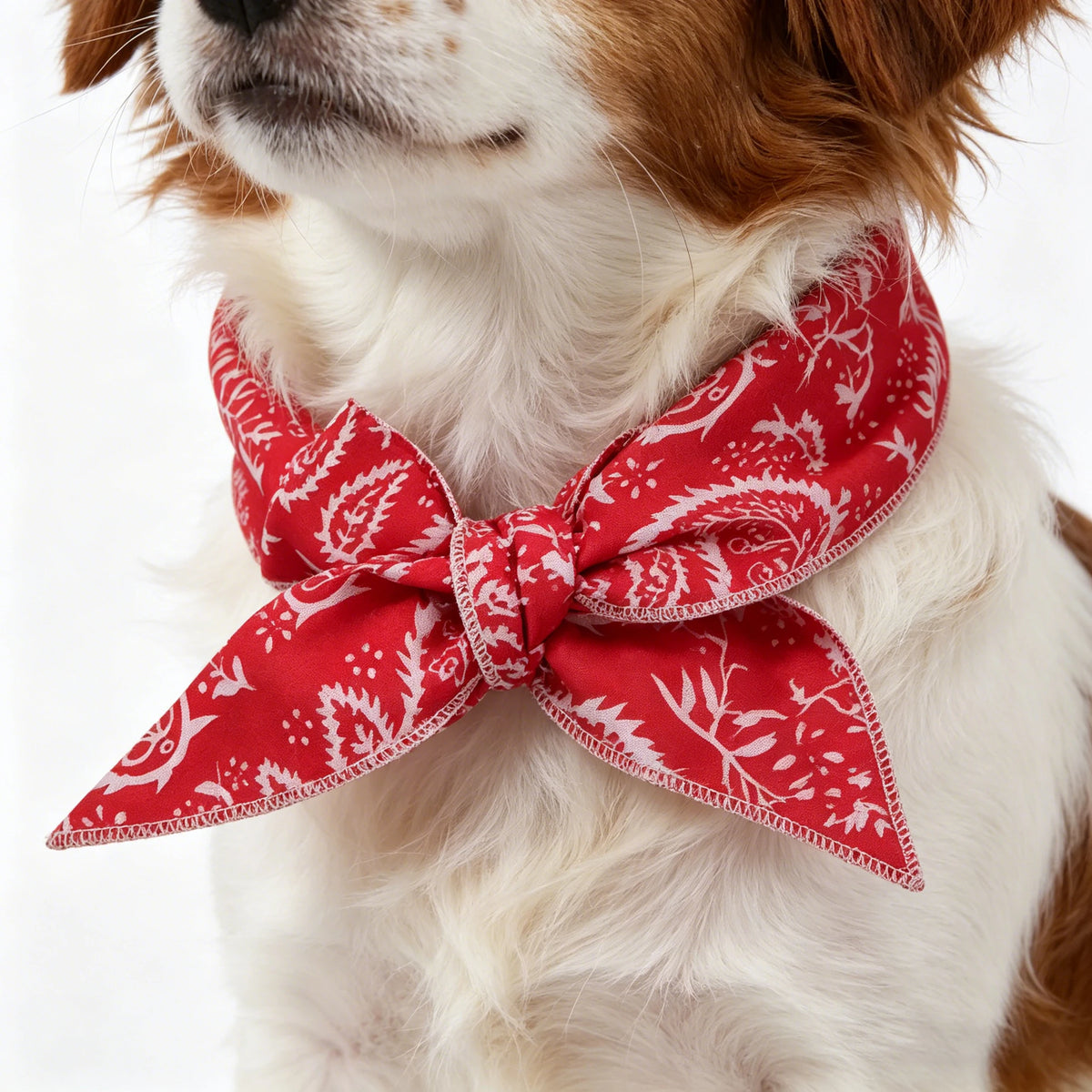 Pet Cooling Ice Collar Bandana for Cats & Dogs | Summer Pet Cooling Collar Babs Red 3PCS