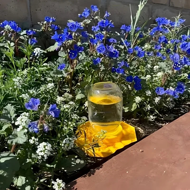 Bee Water Feeder with Perch – Safe Honeybee Drinking Station Bee Water Feeder Babs
