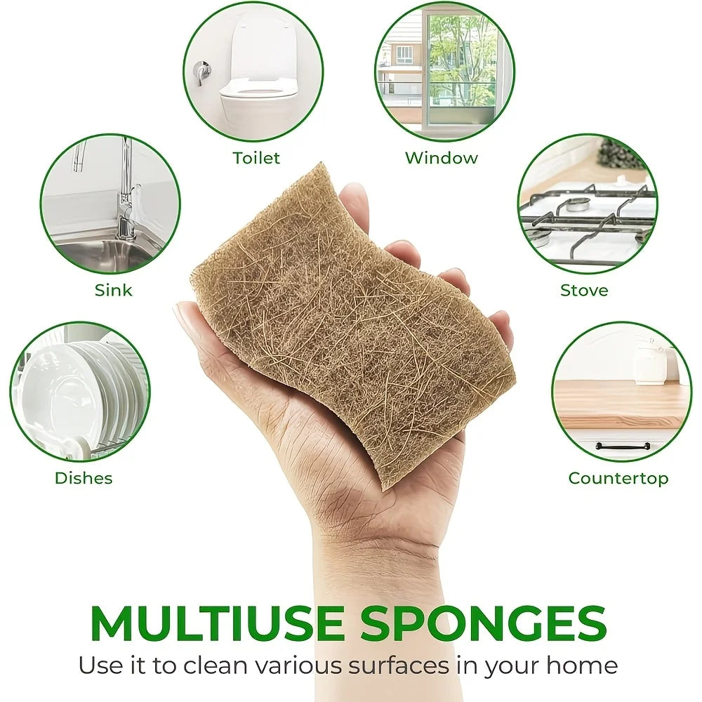 4-Piece Coconut Fiber Kitchen Sponge Set – Eco-Friendly Kitchen Cleaning Sponge Babs