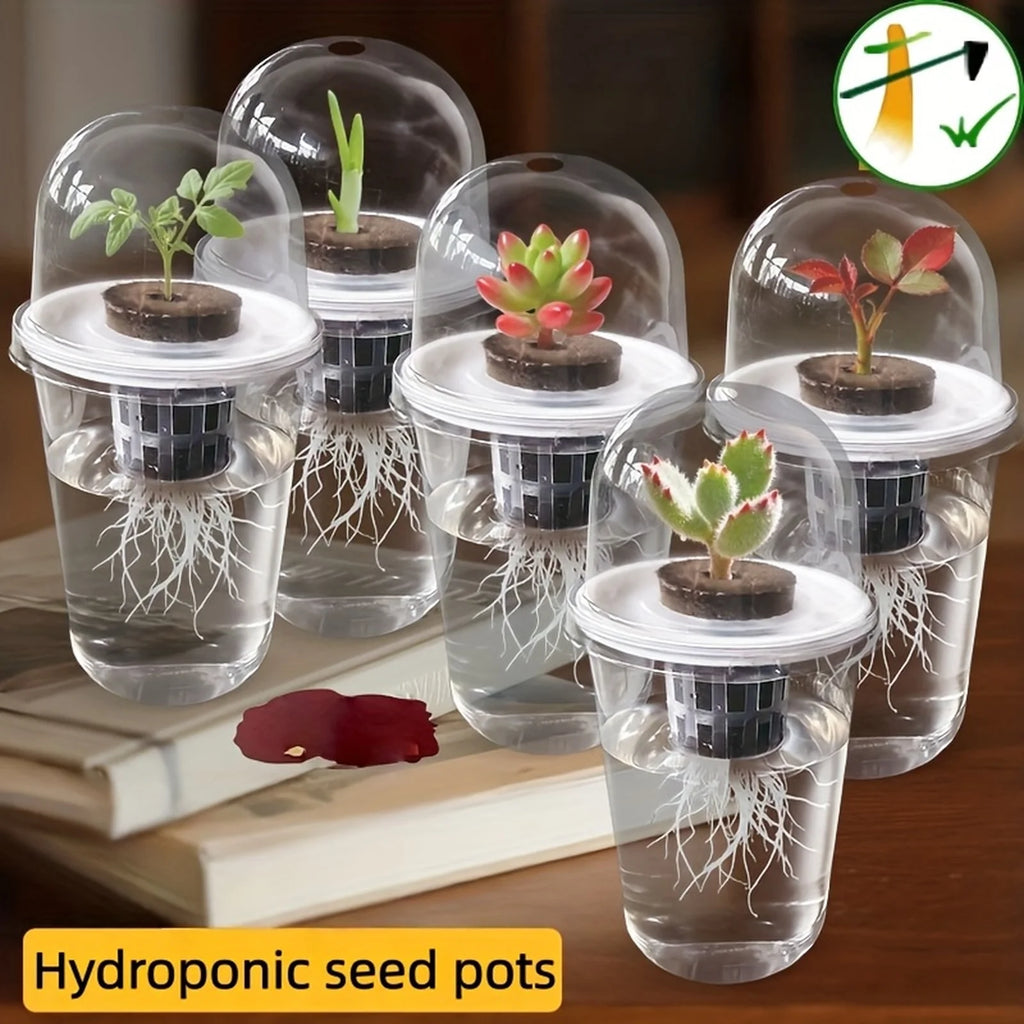 Clear Hydroponic Seed Starter Cup | Transparent Germination Pot Hydroponic Seed Cup Babs
