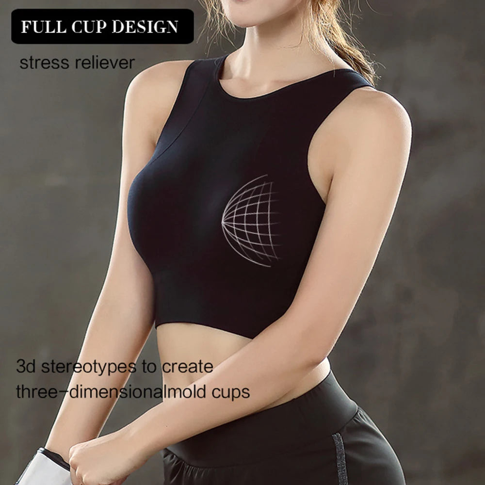 Women's Seamless Push Up Sports Bra – Yoga & Gym Bralette Women's Sports Bra Babs