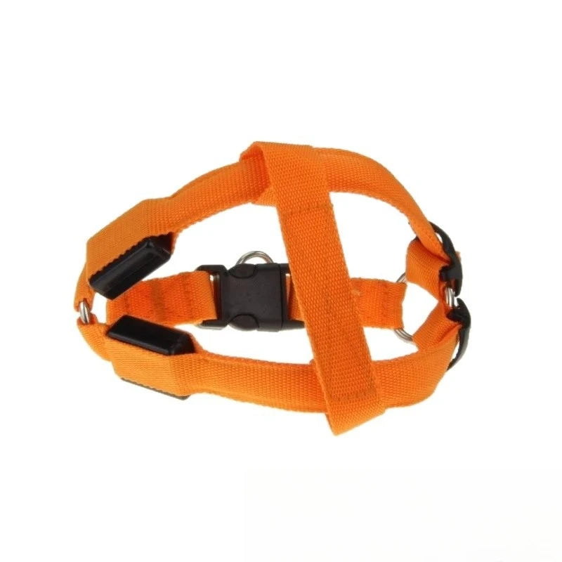 LED Light-Up Dog Leash Harness | USB Rechargeable Glow Walk LED Dog Leash Babs orange Rechargeable version