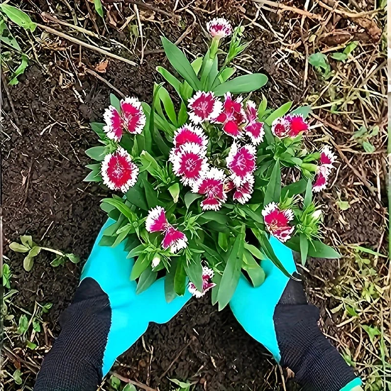 Claw Garden Gloves 2-Pair Set – Scratch-Resistant Digging Gloves Garden Claw Gloves Babs