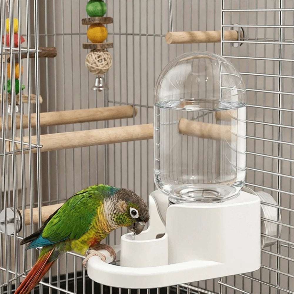 Automatic Wall-Mounted Bird Water Dispenser for Parrots Bird Water Dispenser Babs