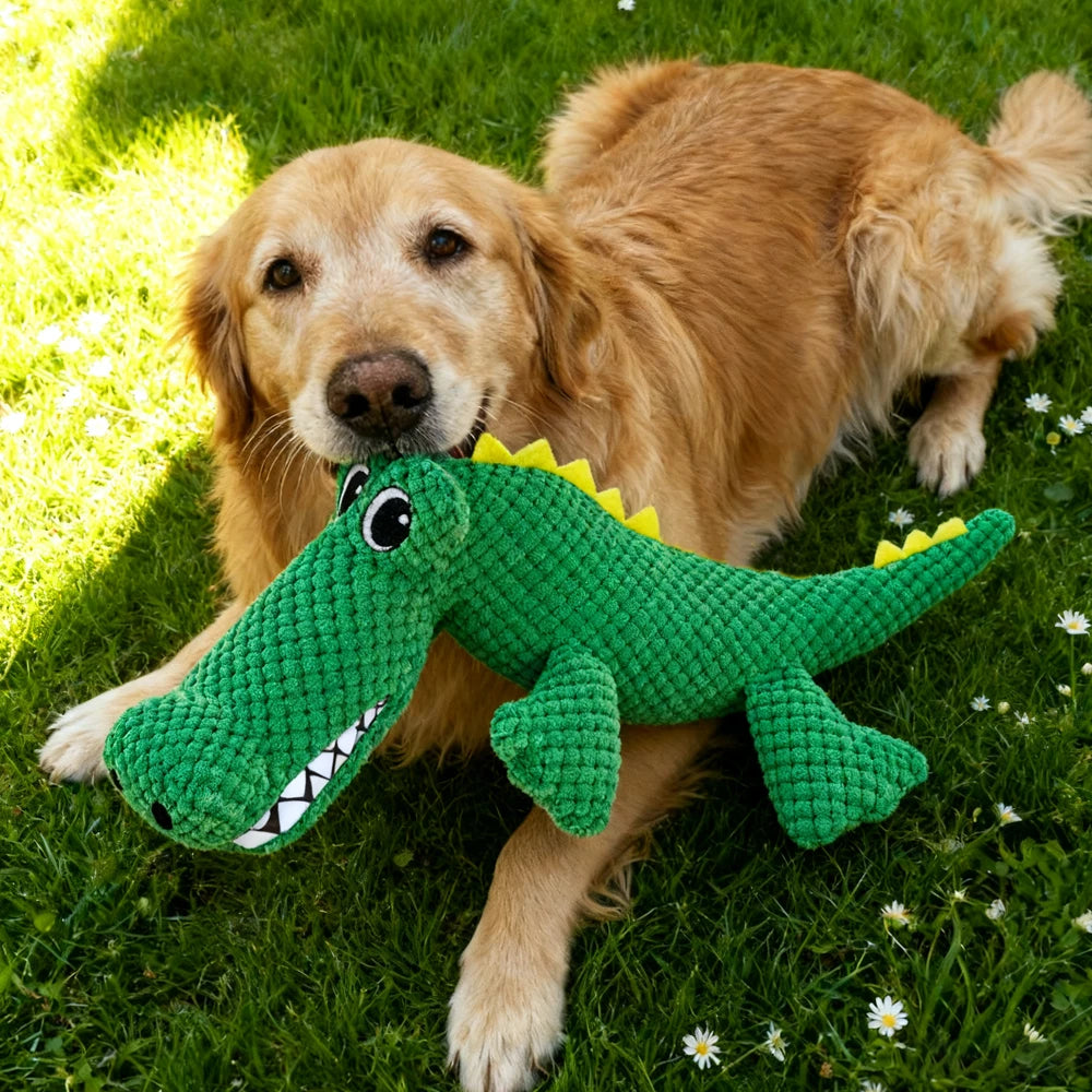 Plush Squeaky Dog Toy – Dinosaur Design for All Dog Sizes Squeaky Plush Dog Toy Babs
