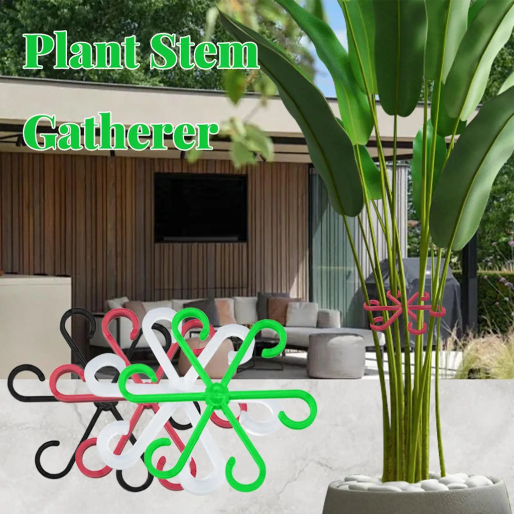 4-Piece Plant Stem Support Trellis for Climbing Vines Plant Trellis Support Babs