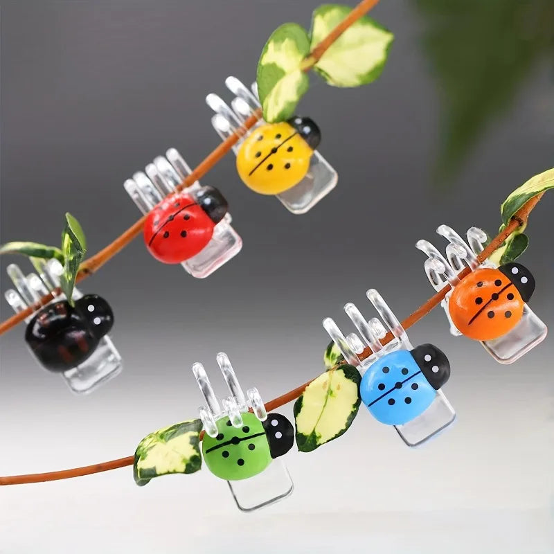 6pcs Ladybug Orchid Clips – Colorful Plant Support for Vines Plant Support Clips Babs 6pcs