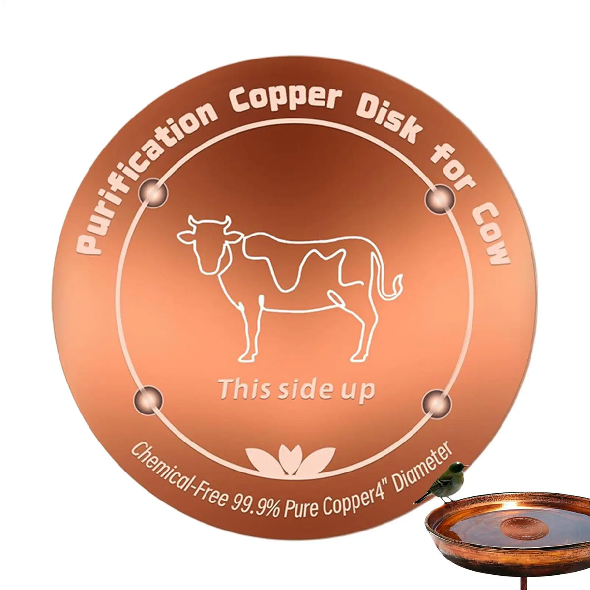 Copper Bird Bath Purifier Disc | Outdoor Water Cleaner Bird Bath Purifier Babs