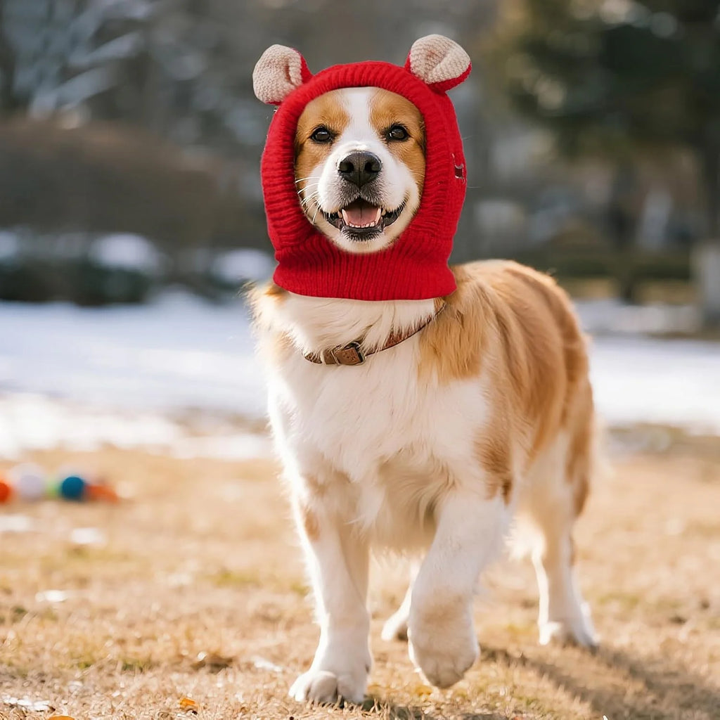 Pet Knitted Ear Muffs Hat – Winter Ear Warmer for Dogs & Cats Pet Winter Hat Babs
