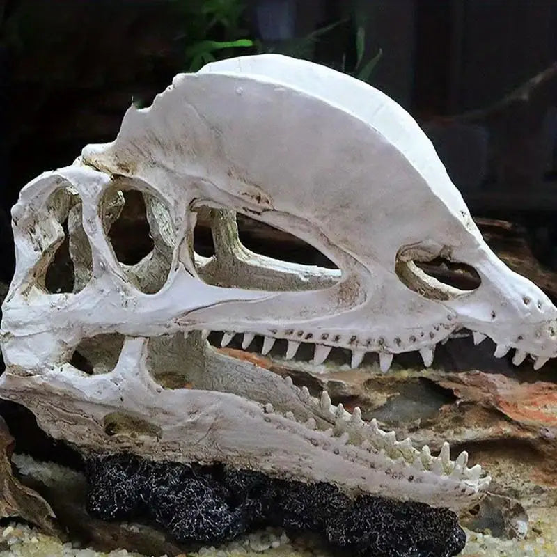 Resin Dinosaur Skull Aquarium & Reptile Habitat Decoration Aquarium Ornament Babs