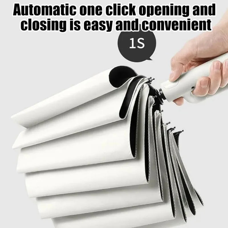 10-Rib Auto Folding Umbrella – UPF 50+, Windproof, Compact Compact Folding Umbrella Babs