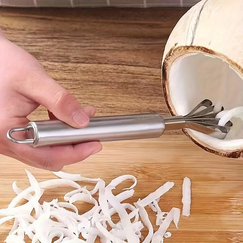 Stainless Steel Coconut Shaver & Fish Scale Remover Tool Kitchen Scraper Tool Babs