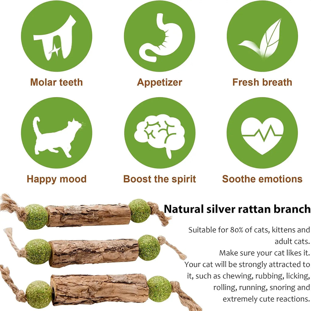 Natural Catnip & Silvervine Molar Chew Sticks for Cats Cat Chew Toy Babs