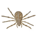 Halloween Skeleton Models – Bat, Lizard, Scorpion & Mouse Figures Halloween Skeleton Figure Babs 6