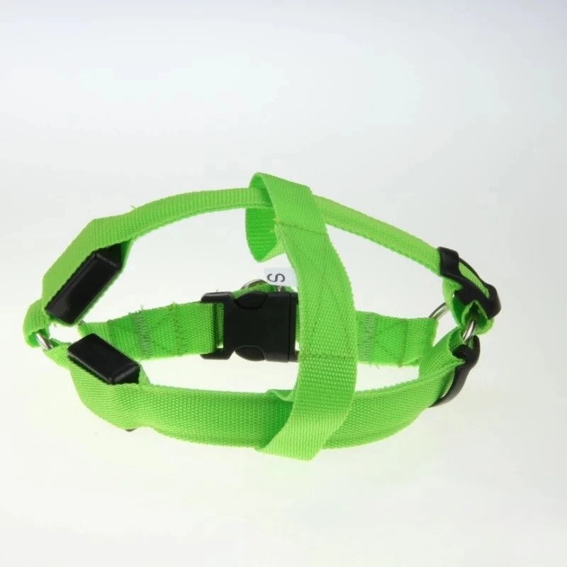 LED Light-Up Dog Leash Harness | USB Rechargeable Glow Walk LED Dog Leash Babs light green Rechargeable version 2