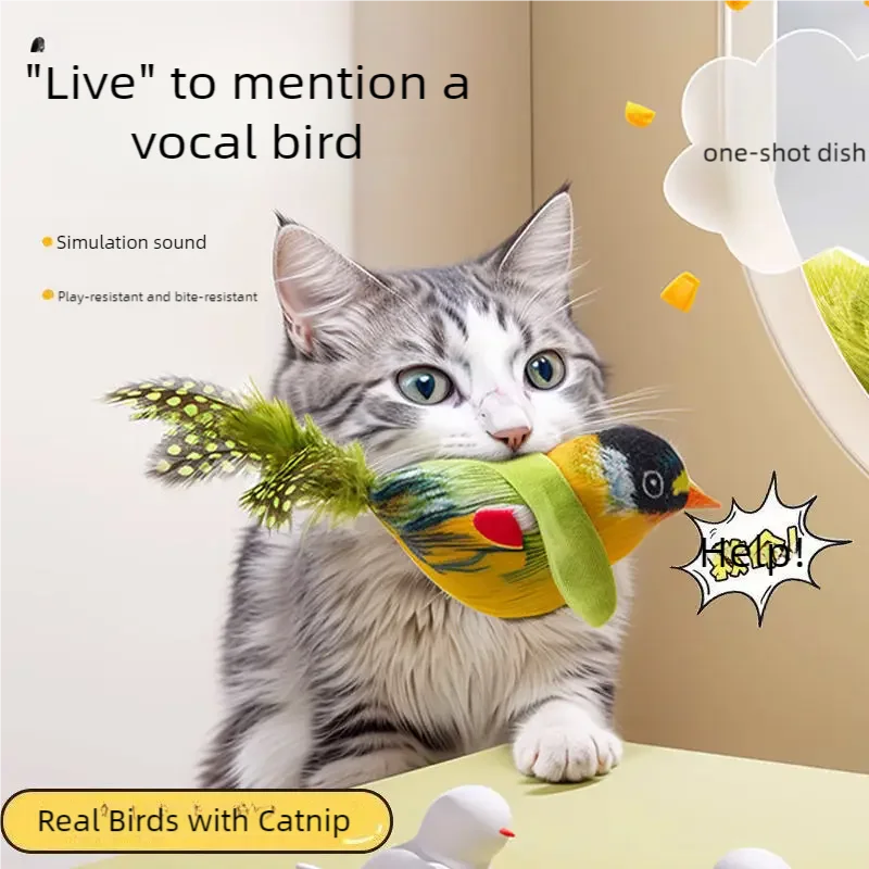Interactive Cat Feather Toy – Catnip, Squeaky & Door Hanging Cat Feather Toy Babs