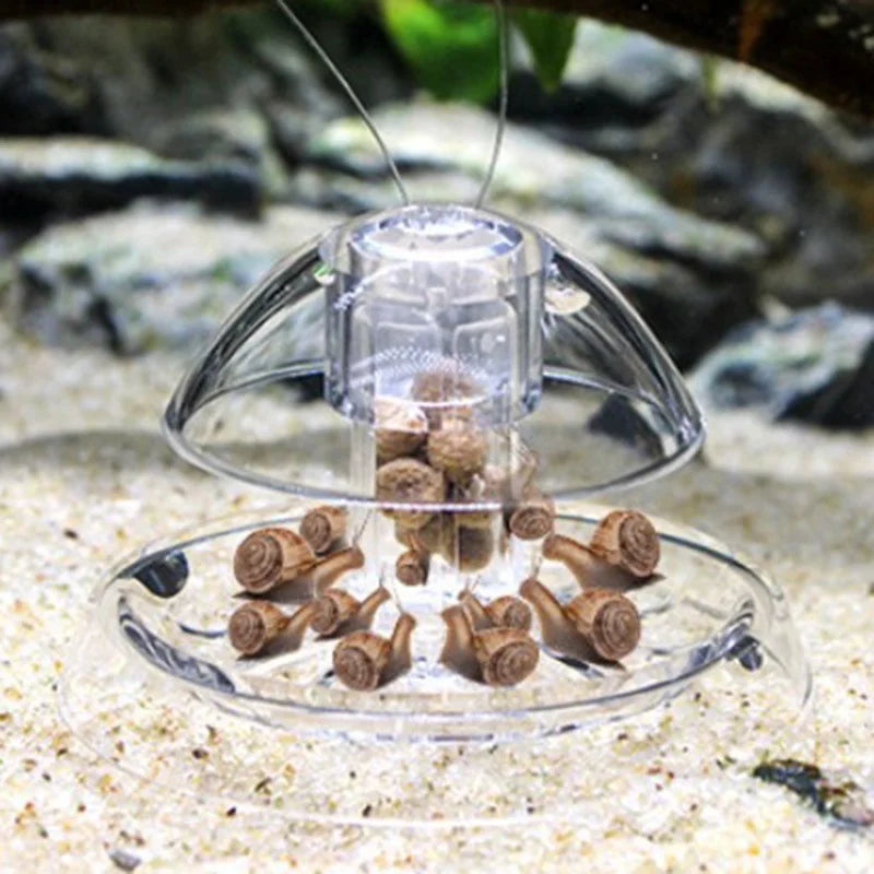 Aquarium Snail Trap Catcher – Leech & Planaria Pest Box Aquarium Pest Trap Babs