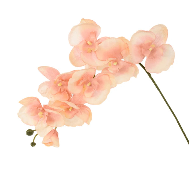 8-Head Silk Butterfly Orchid Artificial Flowers | Real Touch Artificial Silk Flowers Babs Champagne