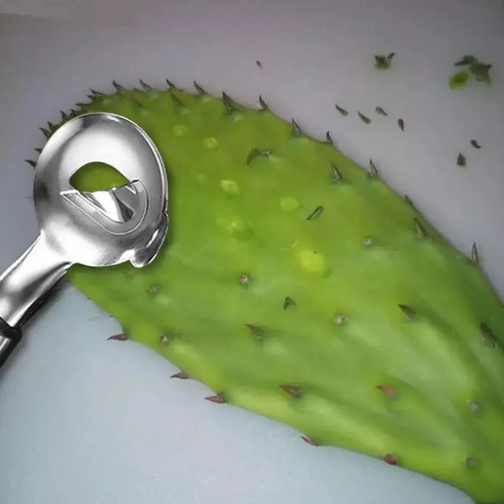 Stainless Steel Cactus Nopales Peeler Spoon | Kitchen Tool Vegetable Peeler Tool Babs