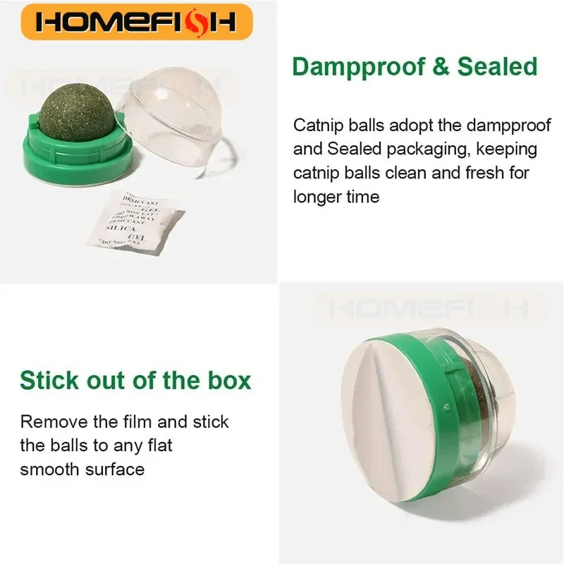 Natural Catnip Wall Stick-On Ball Toy & Scratcher for Cats Cat Catnip Toy Babs