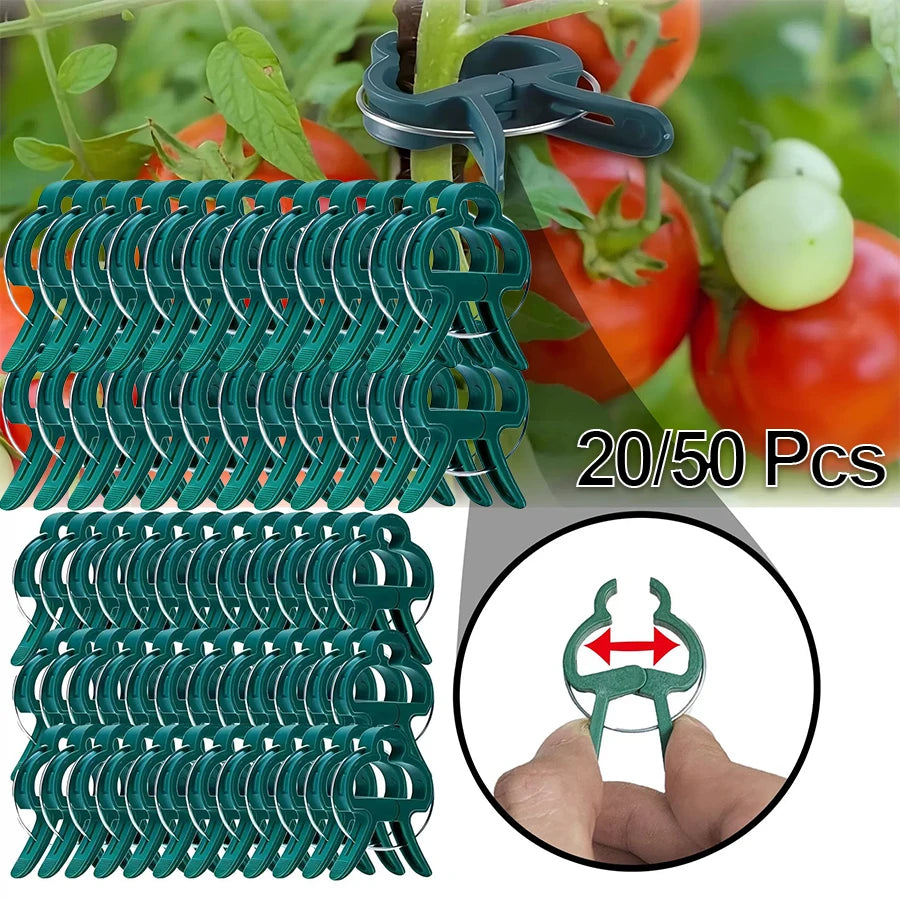 Plant Support Clips for Tomatoes & Climbing Vines | Garden Garden Plant Clips Babs
