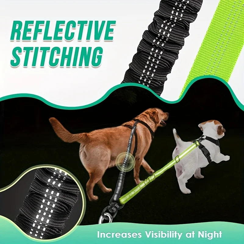 2-in-1 Dual Dog Leash – Heavy-Duty Double Lead for Two Dogs Dual Dog Leash Babs