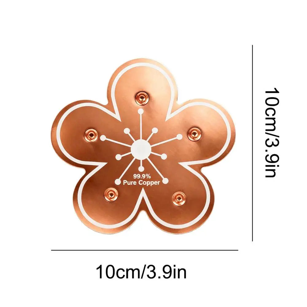 Copper Bird Bath Purification Disc – All-Season Backyard Bird Bath Purifier Babs D