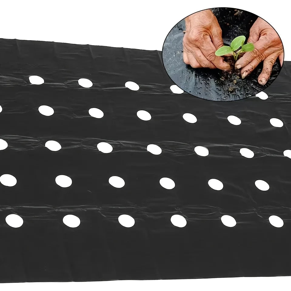 Garden Weed Control Barrier Film with Planting Holes | PE Mulch Garden Mulch Film Babs