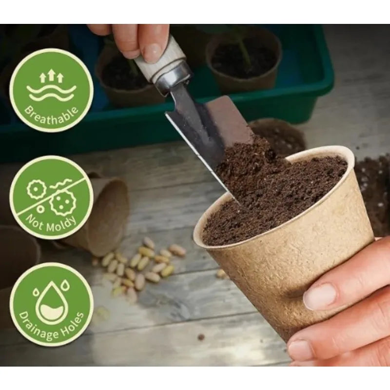 Biodegradable Peat Seed Starter Pots with Drainage Holes 20/40 Pk Seed Starter Pots Babs