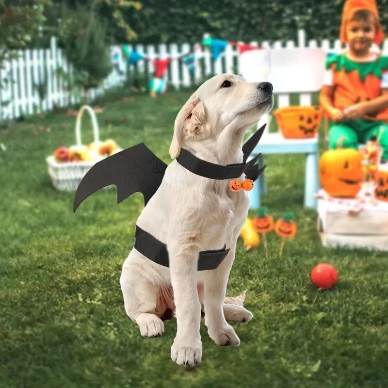 Pet Bat Wings Halloween Costume for Cats & Dogs | Adjustable Pet Halloween Costume Babs