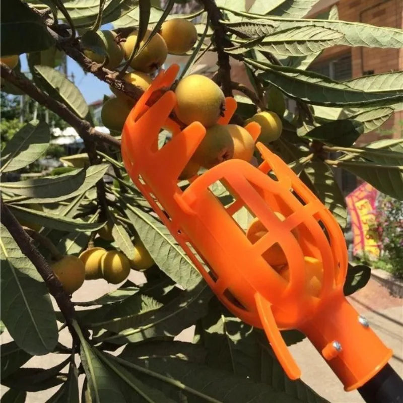 Plastic Fruit Picker Head – Garden & Orchard Harvest Tool Fruit Picker Tool Babs Orange