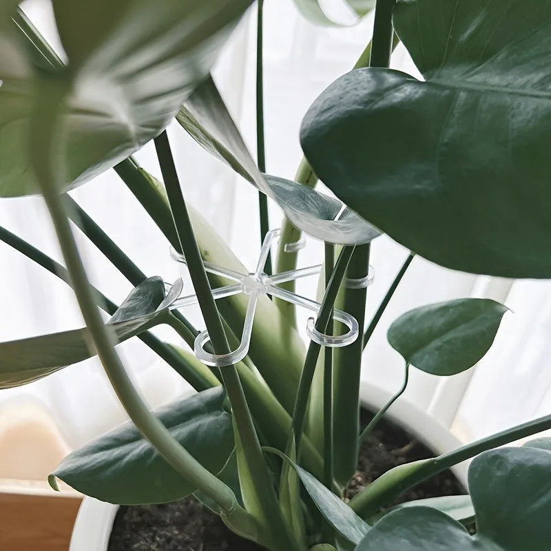 4pcs Adjustable Transparent Plant Support Clips for Flowers & Vines Plant Support Clips Babs