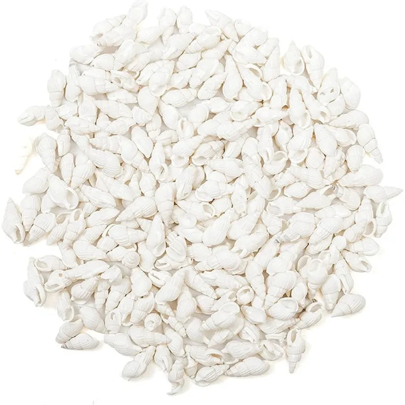 White Spiral Sea Shells 350pcs – Wedding, Decor & DIY Crafts Decorative Sea Shells Babs