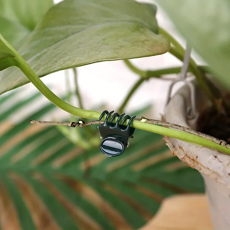 40pcs Butterfly Orchid & Vine Plant Support Garden Clips Garden Plant Clips Babs