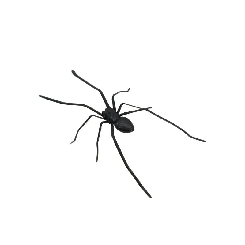 Halloween Spider Fridge Magnets – Fun Holiday Refrigerator Decor Holiday Fridge Magnet Babs
