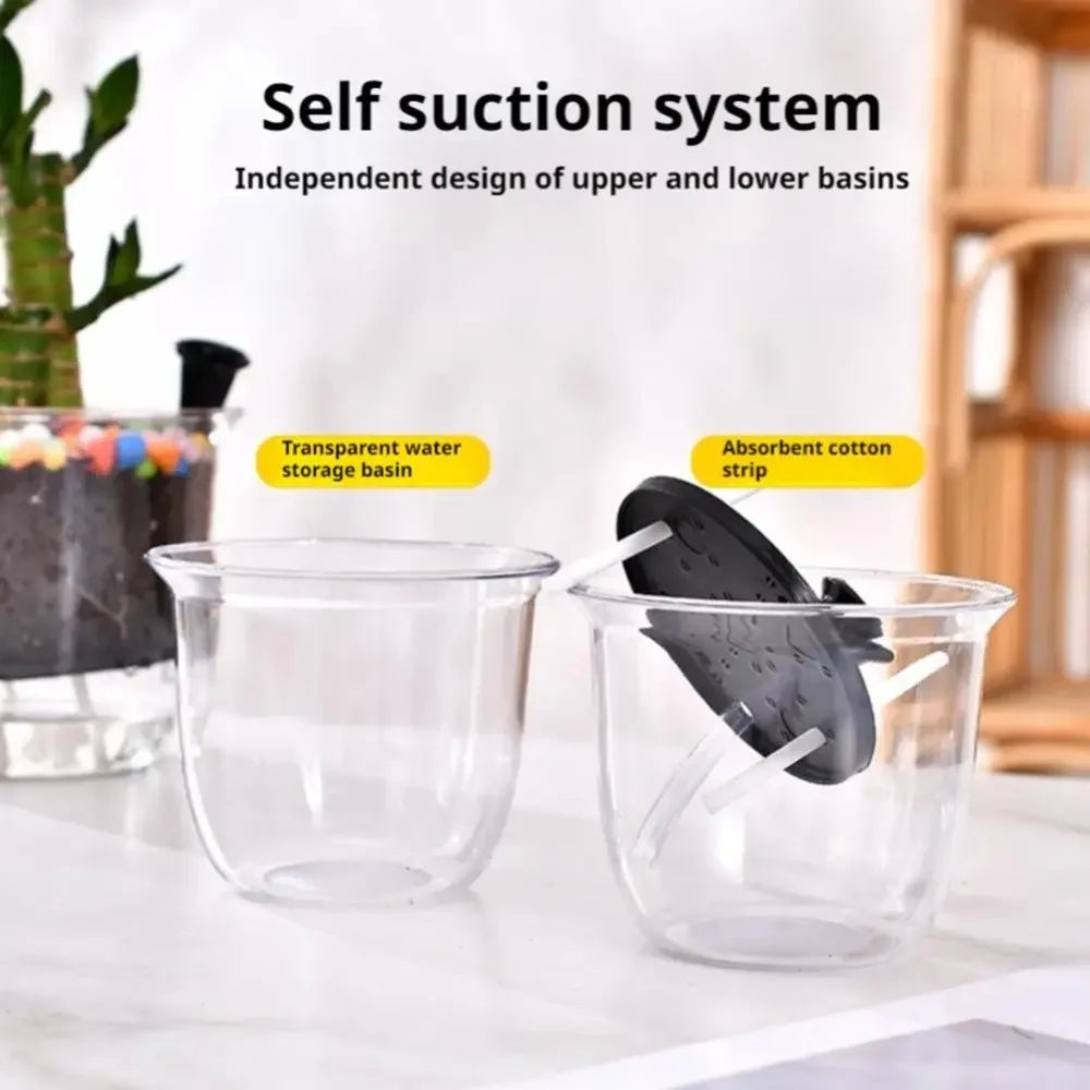 2-Pack Clear Self-Watering Indoor Plant Pots with Deep Reservoir Self-Watering Planter Babs
