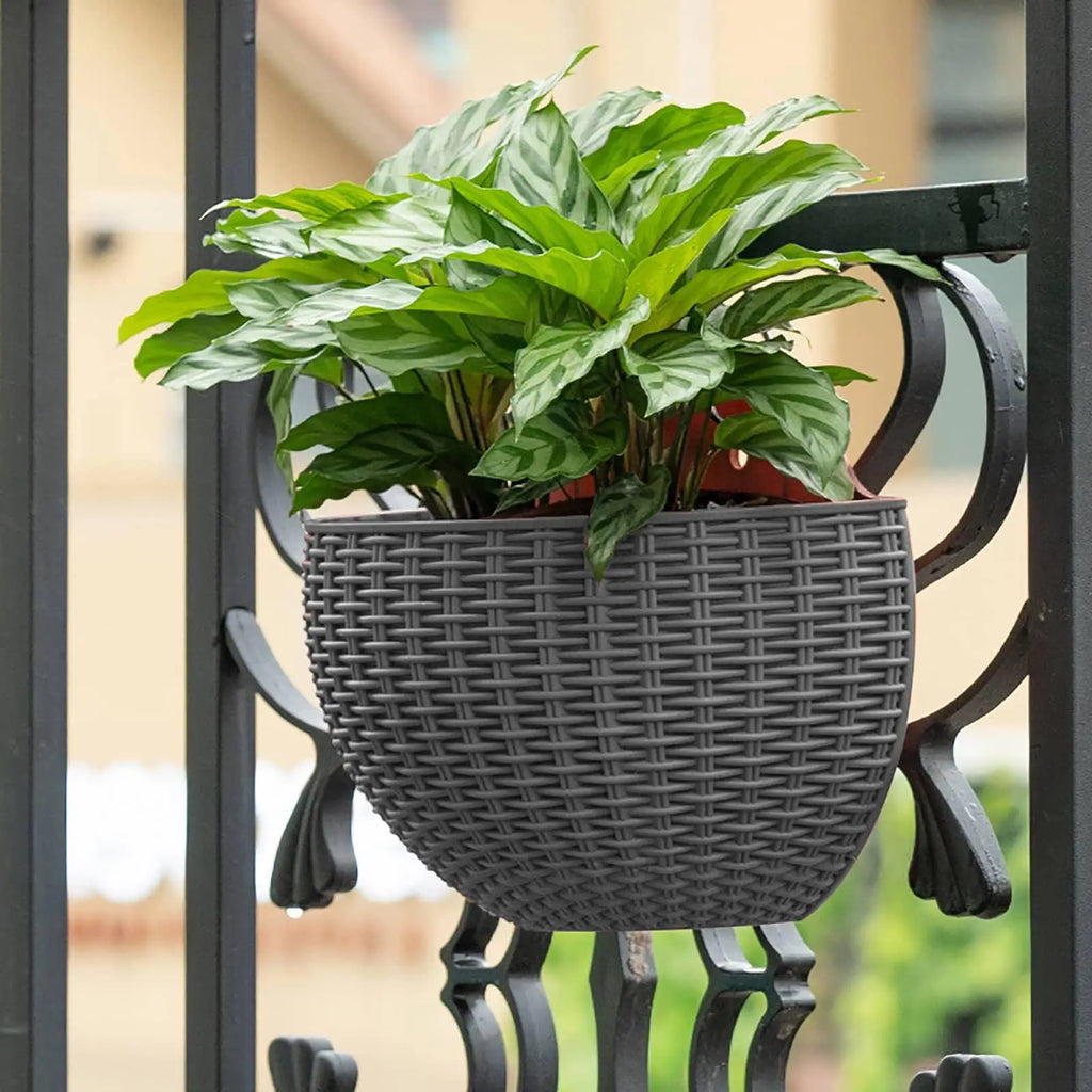 Wall Mounted Rattan Semicircle Hanging Planter Basket Wall Hanging Planter Babs