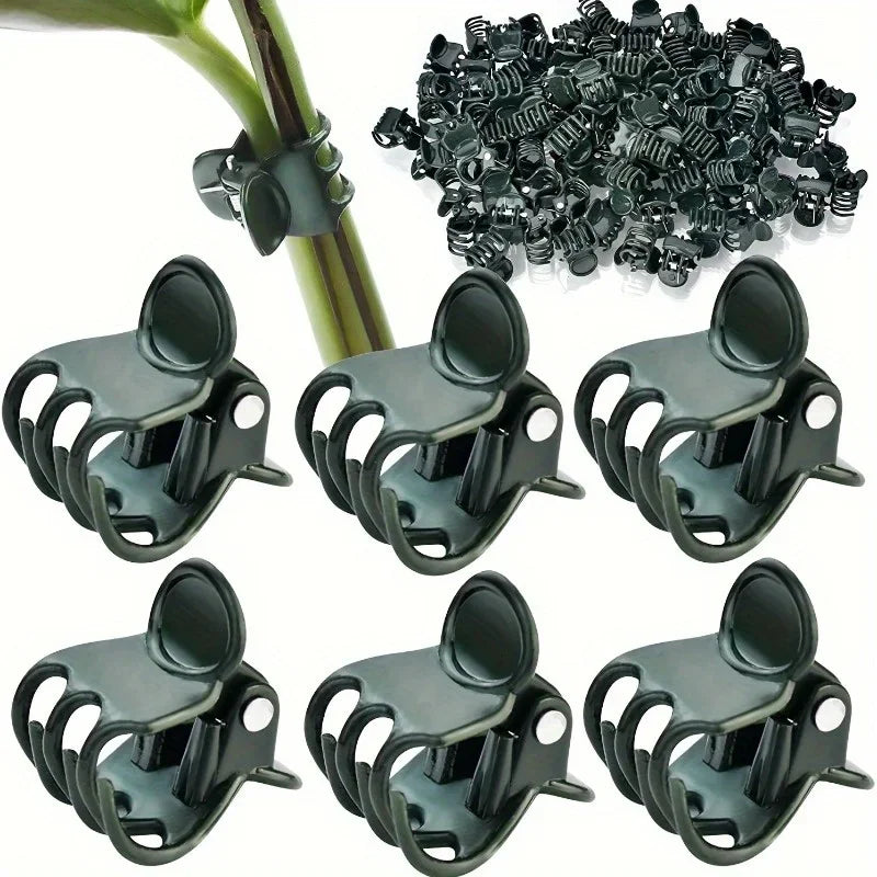 40pcs Butterfly Orchid & Vine Plant Support Garden Clips Garden Plant Clips Babs