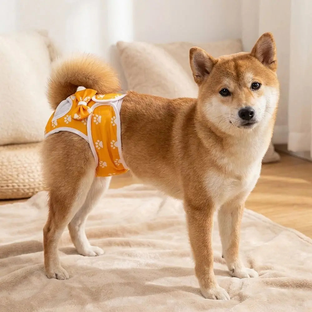 Washable Dog Diaper Pants – Adjustable Paw Pattern, S–XL Dog Diaper Pants Babs