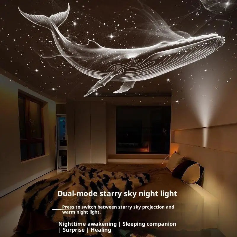 Star Projector Replacement Film Disc – Starry Sky Lens Sheet Projector Replacement Disc Babs A1