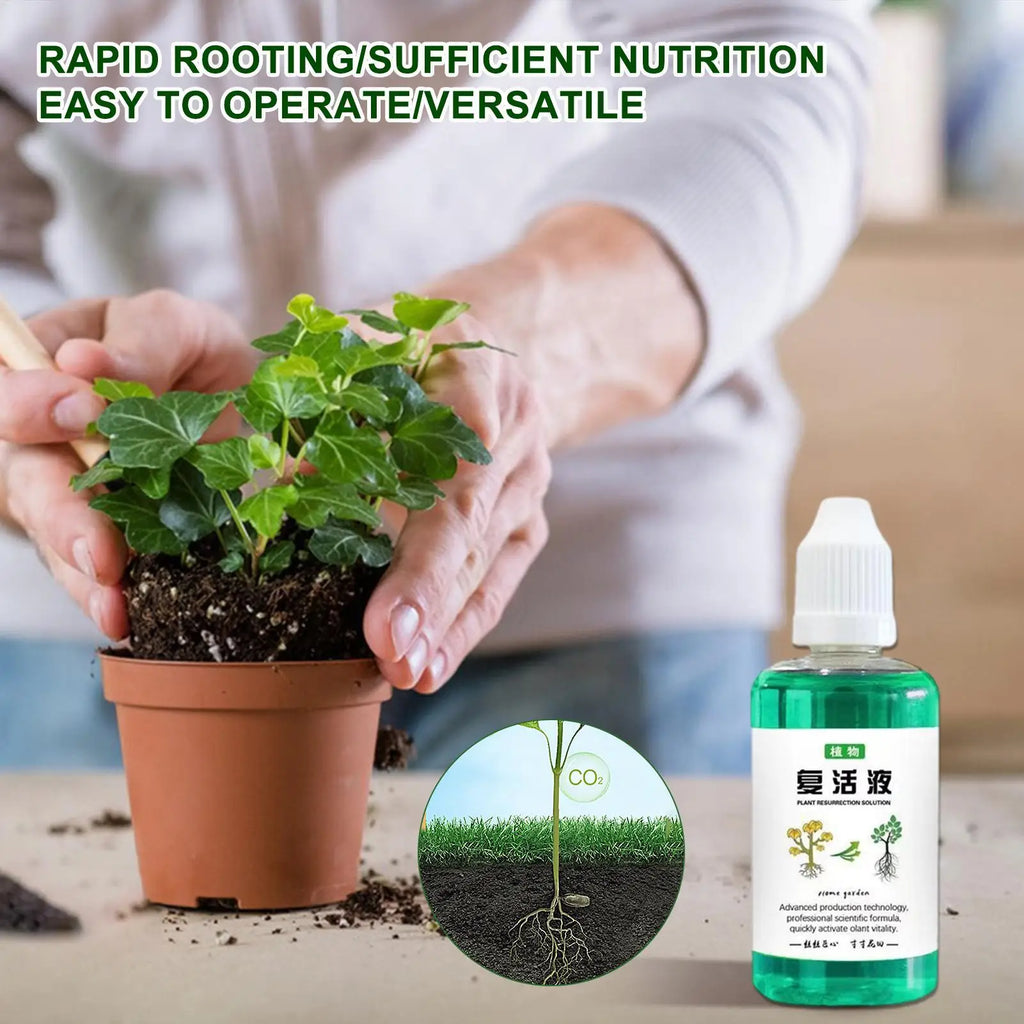 50ml Plant Nutrient Liquid – Root Booster & Growth Fertilizer Liquid Plant Fertilizer Babs
