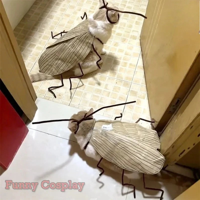 Funny DIY Cat Costume Kit – Cockroach & Spicy Pepper Outfit DIY Cat Costume Kit Babs