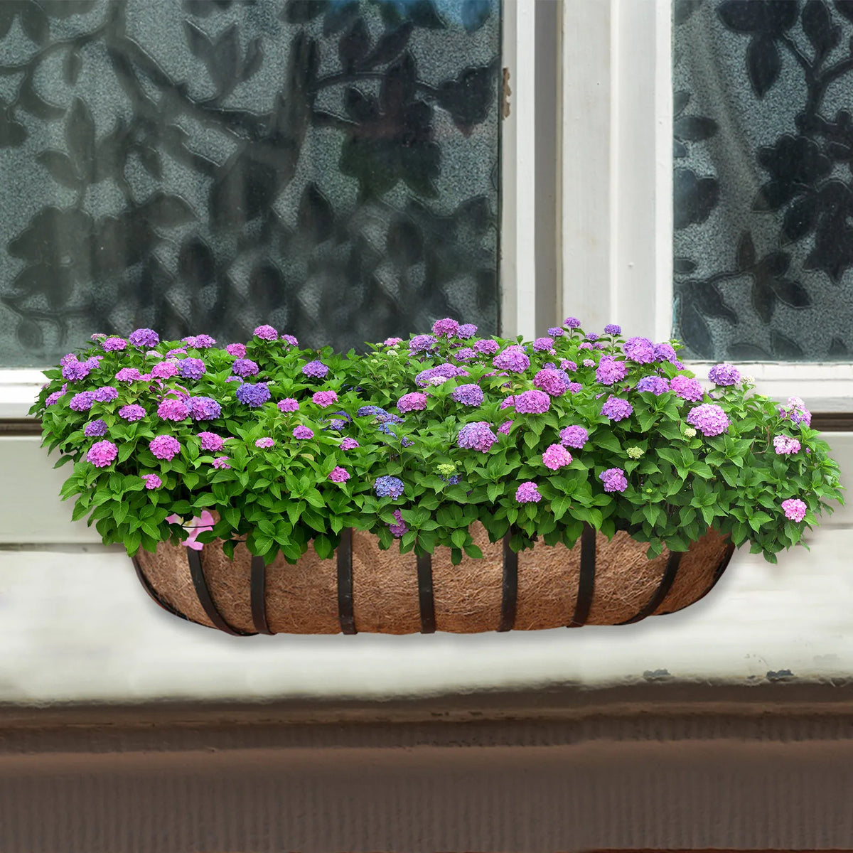 2-Pack Coconut Coir Hanging Basket Liners | Breathable Plant Pots Hanging Basket Liner Babs