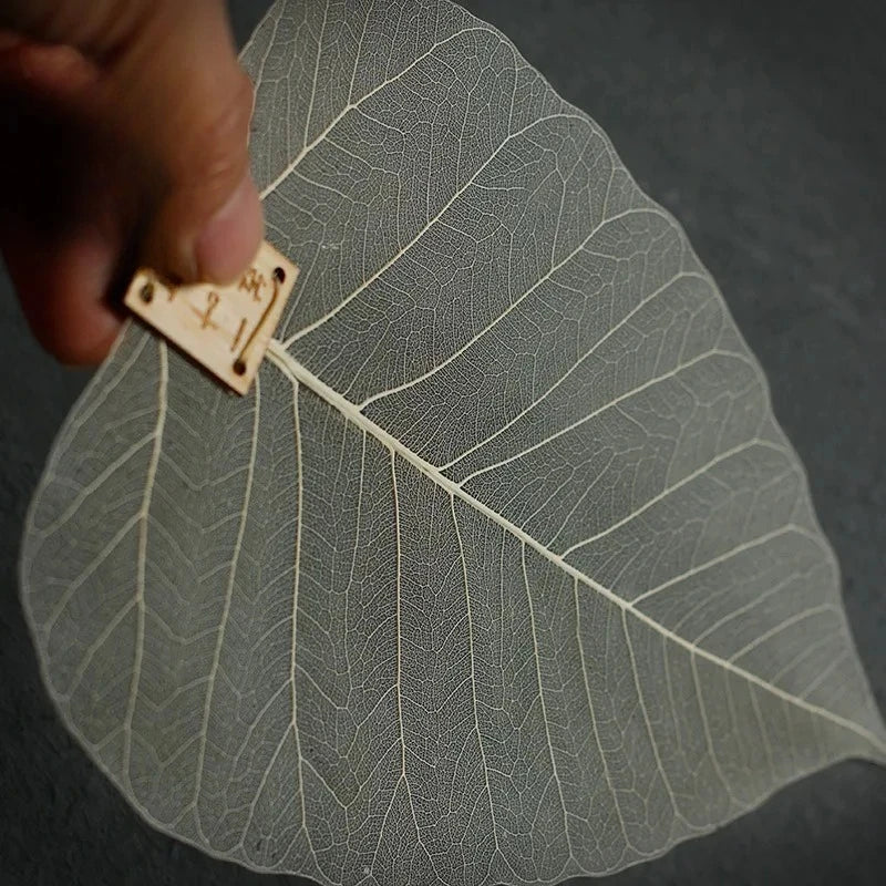 Bodhi Leaf Tea Strainer – Reusable Kung Fu Tea Filter Tea Strainer Babs