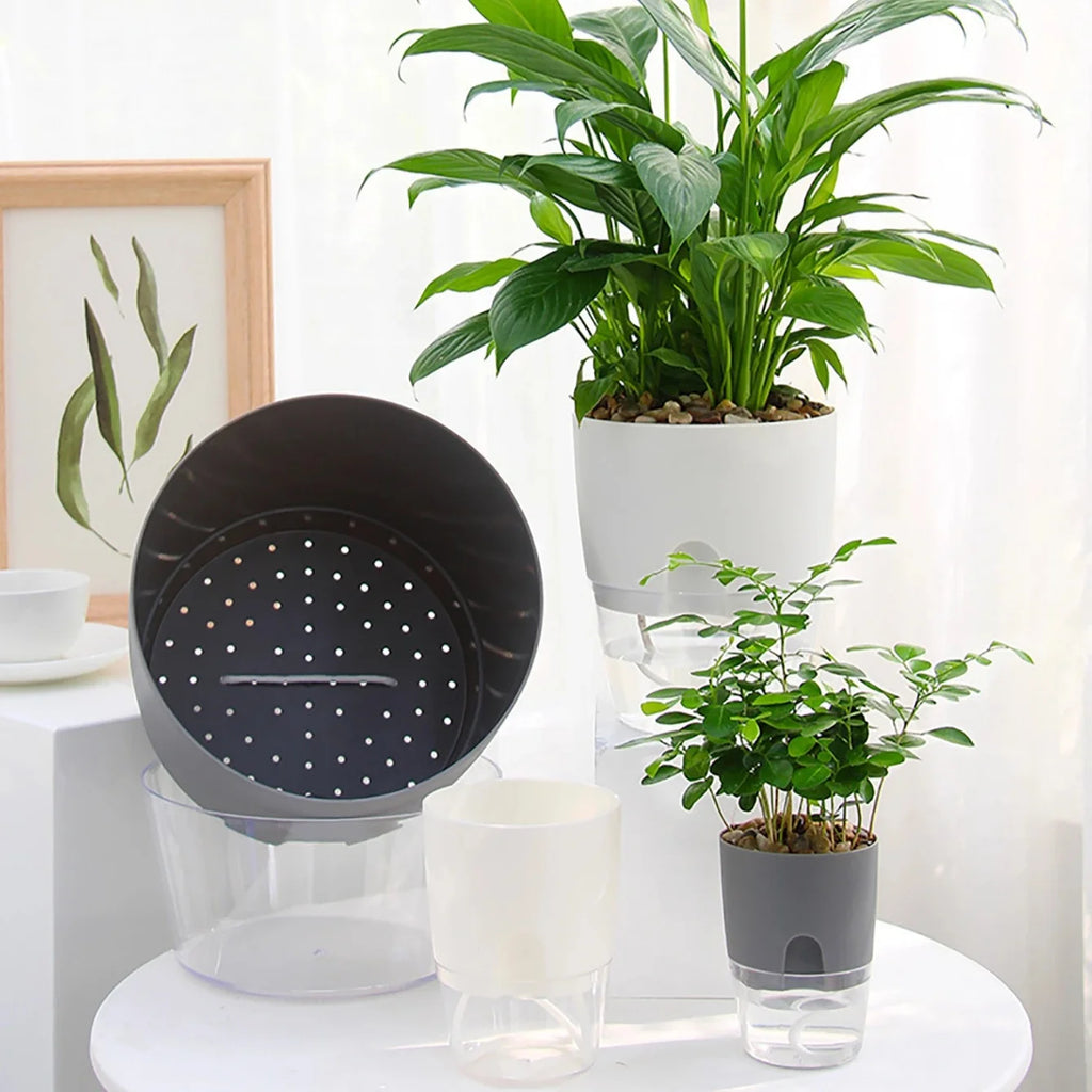 5-Pack Self Watering Planters – Wicking Pots with Bottle Self Watering Planters Babs
