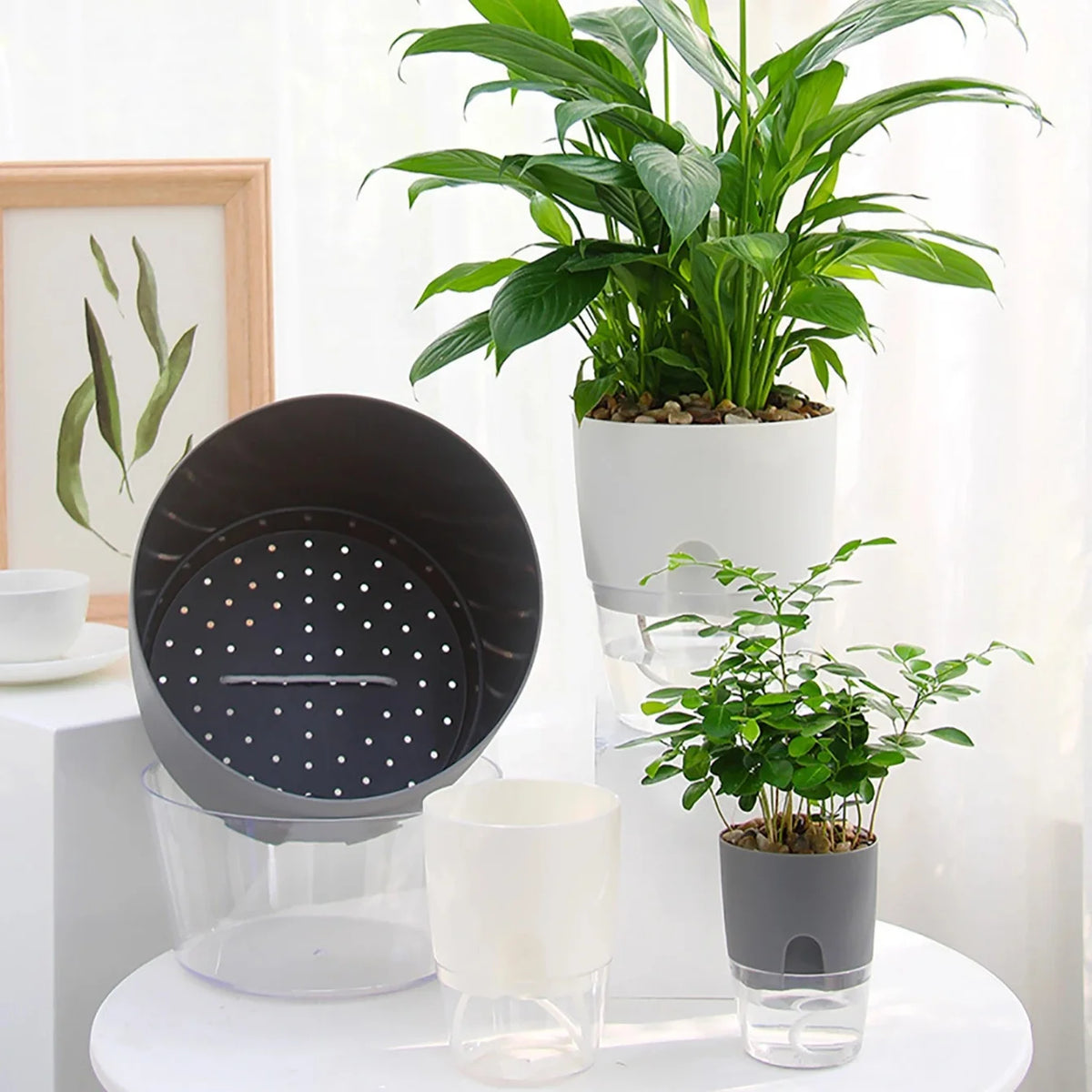 5-Pack Self Watering Planters – Wicking Pots with Bottle Self Watering Planters Babs